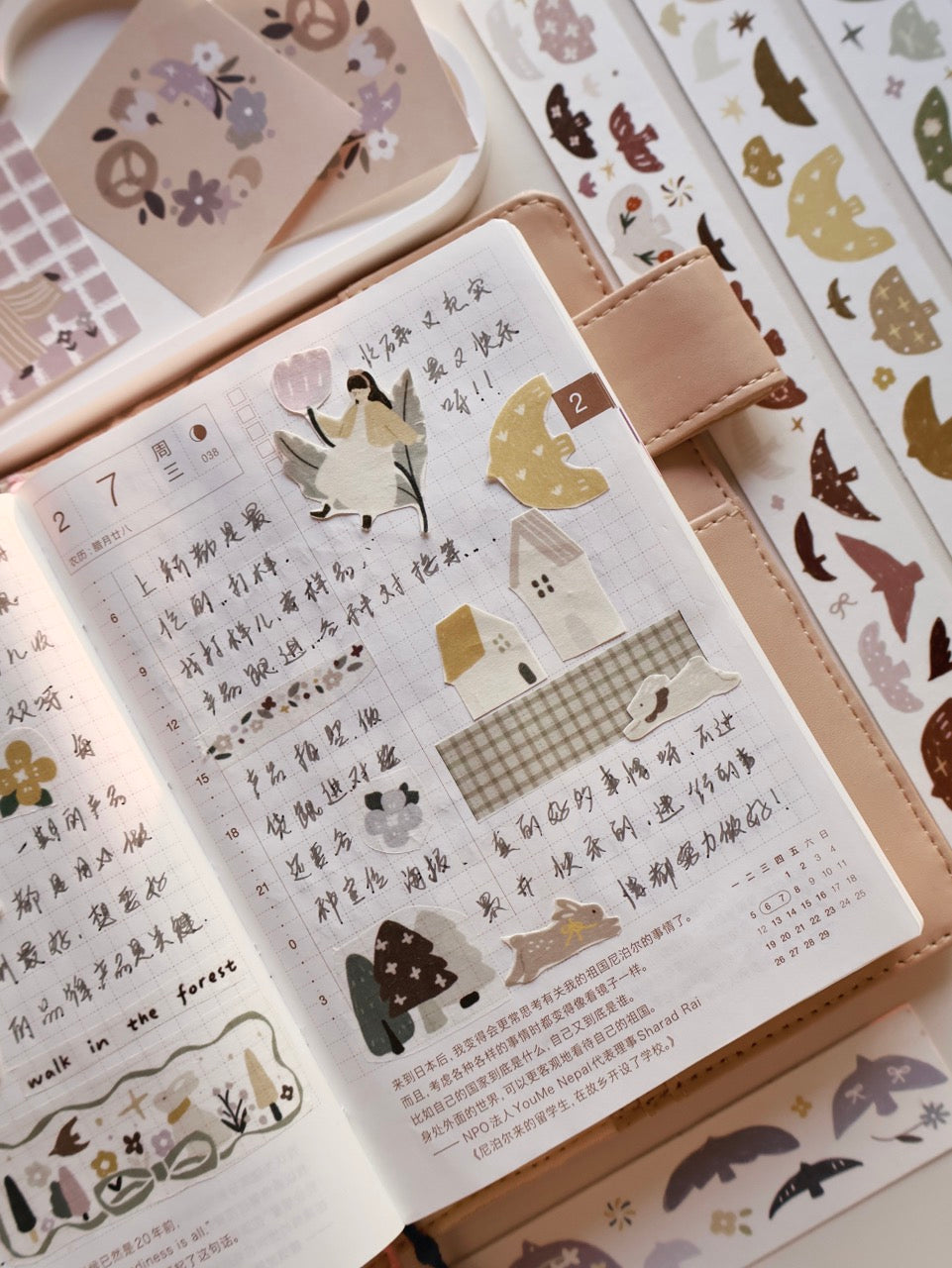 Rainbow Birds โ Light Retro Washi & Matte PET Tape