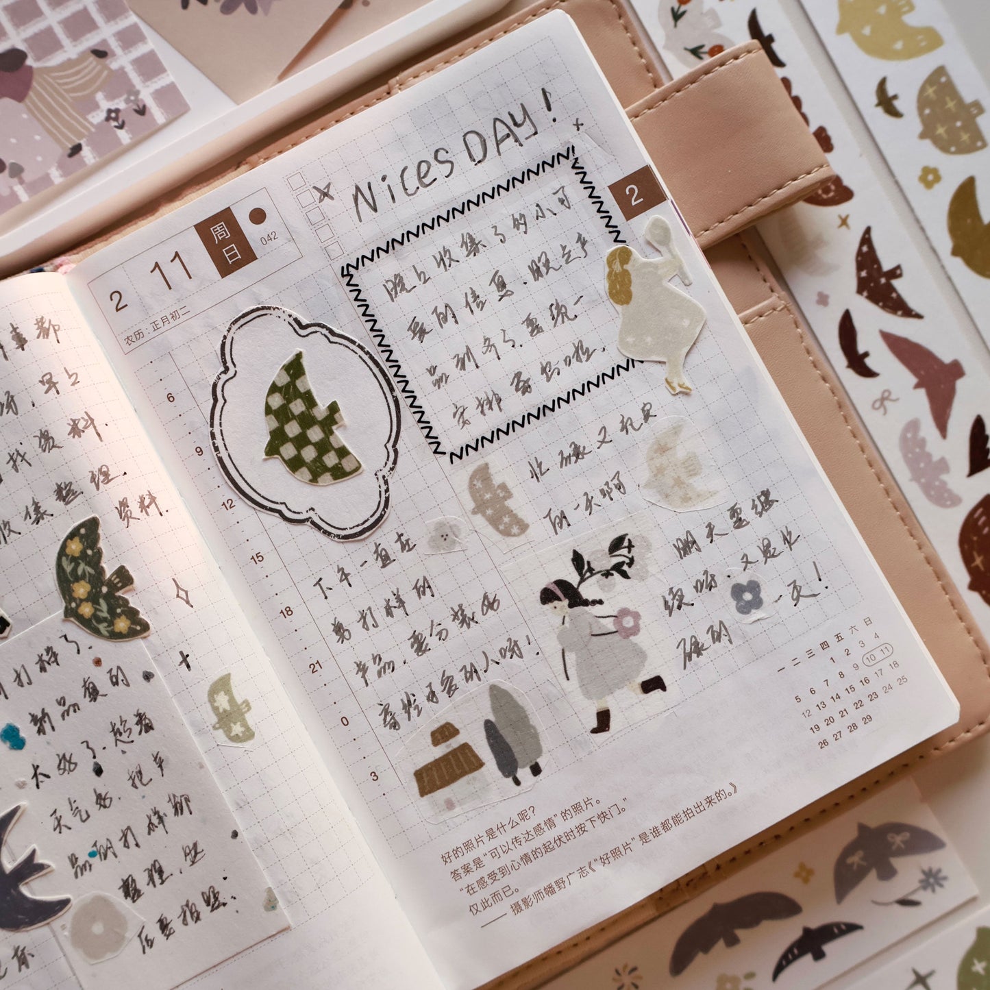 Rainbow Birds – Light Retro Washi & Matte PET Tape